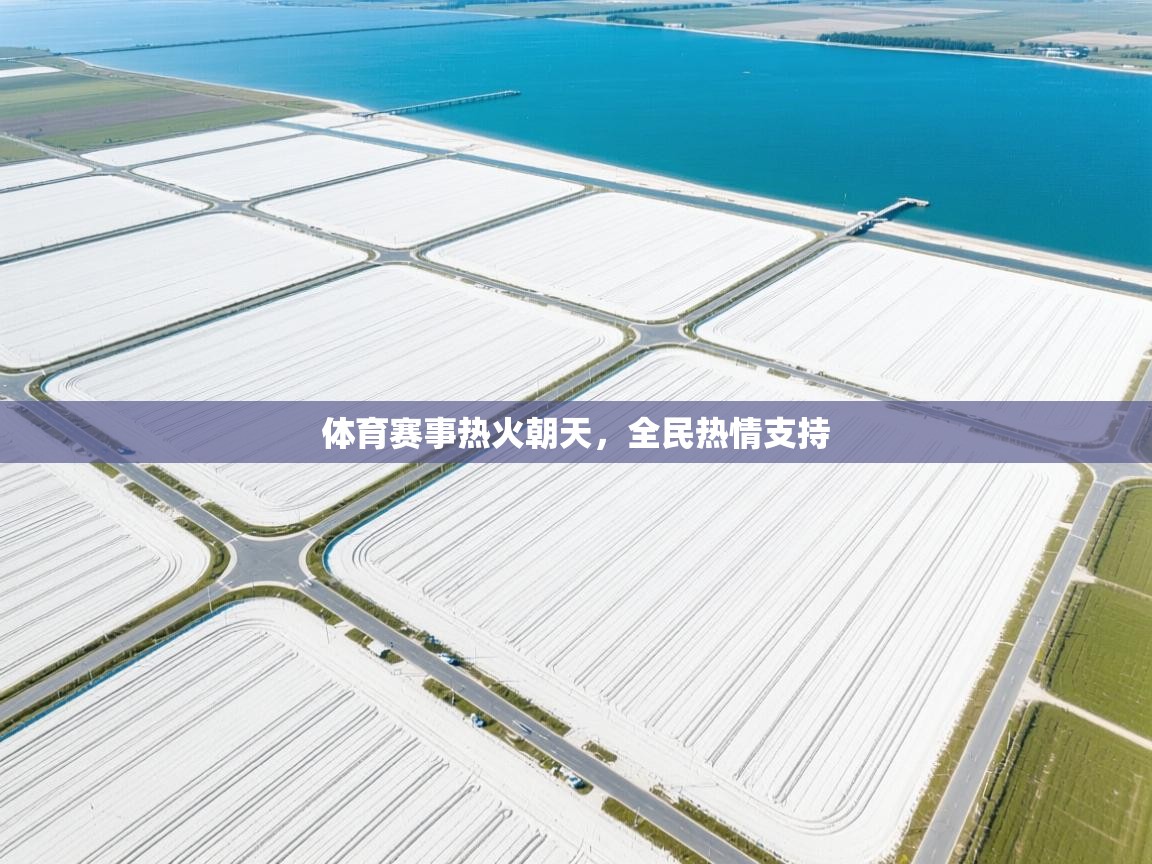 体育赛事热火朝天，全民热情支持  第1张