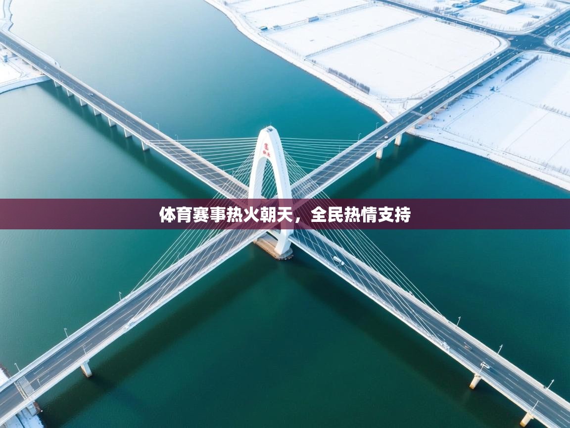 体育赛事热火朝天，全民热情支持  第2张