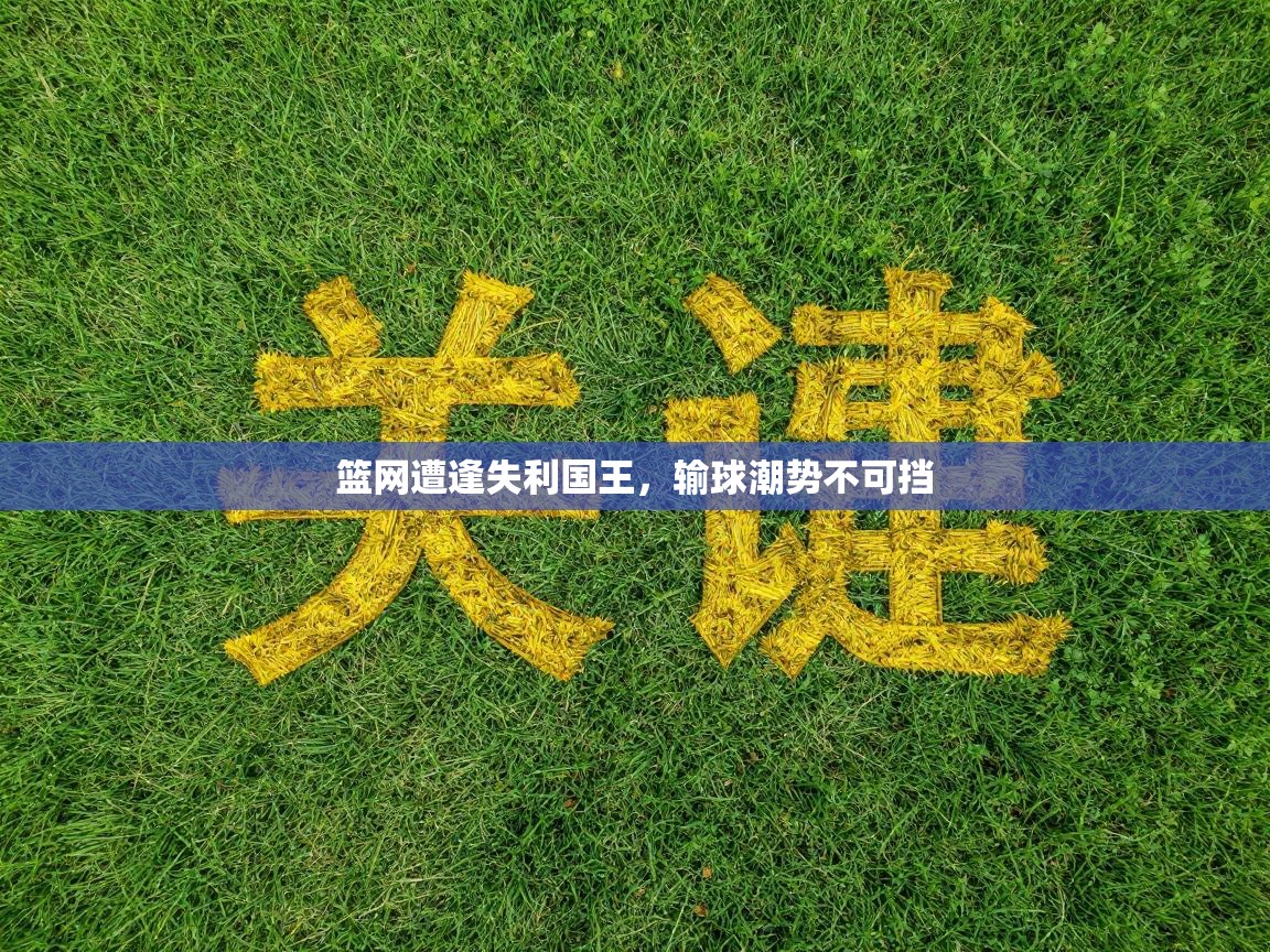篮网遭逢失利国王，输球潮势不可挡  第2张